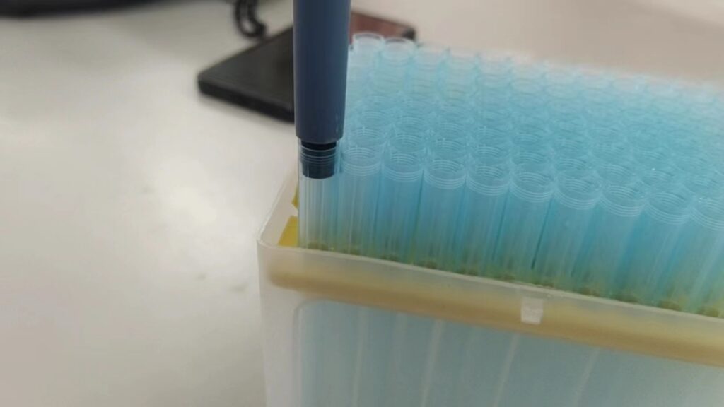 Micropipette Tip